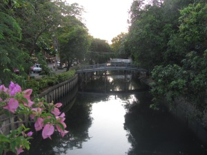 One of the remaining klongs.