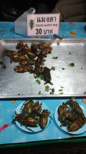 A water beetle snack anyone. Very popular with the Thai.