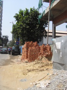 One of many sidewalk hazards.