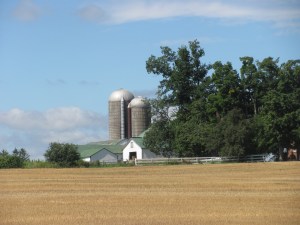 Farm scene near Georgetown.