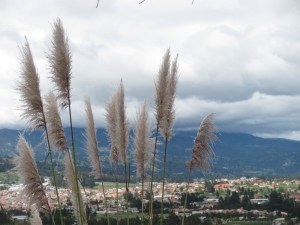 Over looking Cuenca from the zoo.