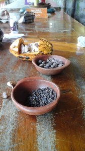 !st stage - the raw cocoa beans.