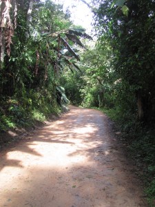 My hike up the mountain