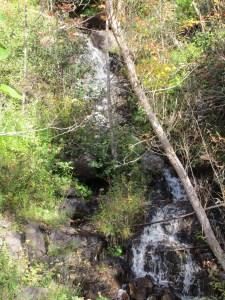 A small waterfall created by the rain.