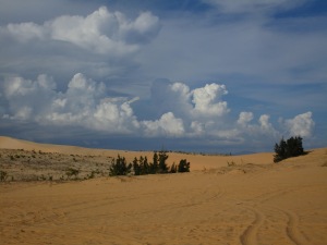 On the white dune.