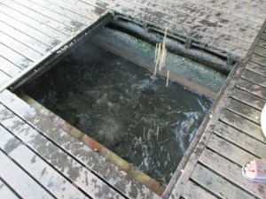 Drums where the fish are raised.