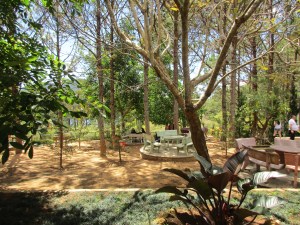 A quiet spot for some meditation.