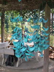 These are for real. Not sure what they were.