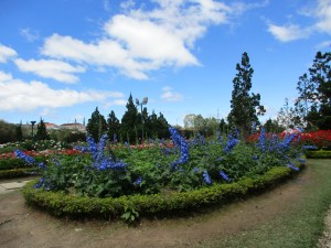 mui-ne-and-dalat-075