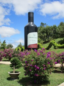 Advertising Dalat wine at the Park.