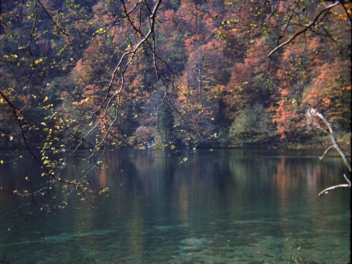 Life Experiences Have Made Me a Better&nbsp;Person